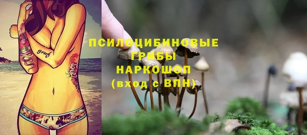 спиды Бугульма