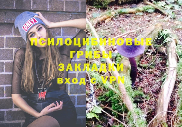 спиды Бугульма
